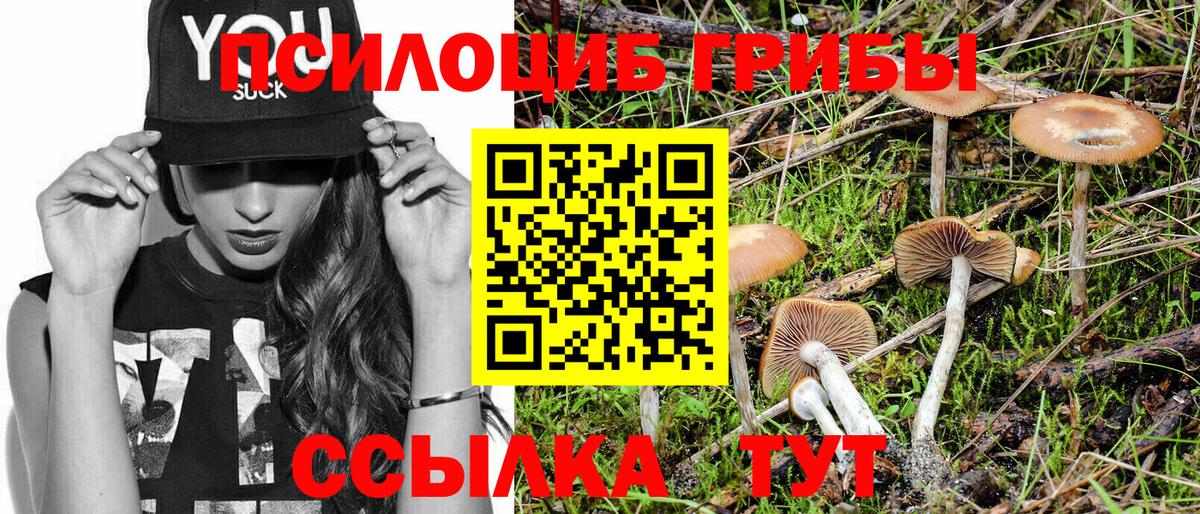 Галлюциногенные грибы мицелий Сосновоборск