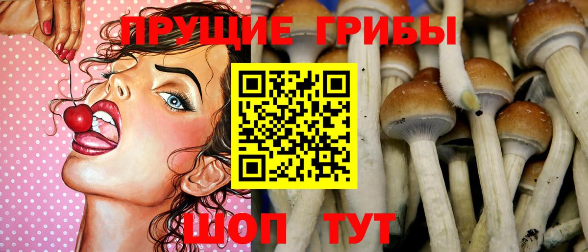 Псилоцибиновые грибы мухоморы  хочу наркоту  Сосновоборск  Вход с VPN 